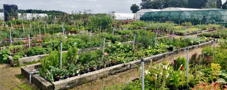 Didlington Nurseries