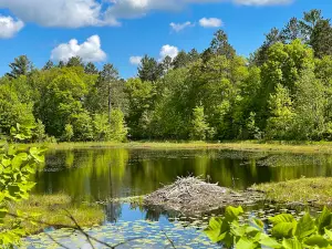 Spider Lake ATV/ORV/ORM Trails