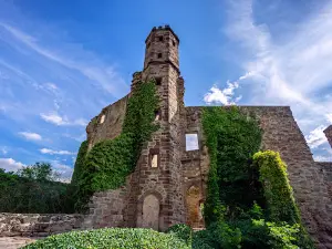 Burg Hardenberg