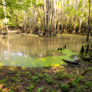 Kauffman Soft Private Collection Vodka (카우프만 소프트 프라이빗 컬렉션 보드카)