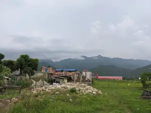 Sardi Bagaicha