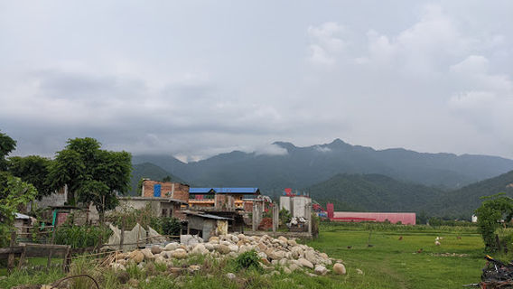 Sardi Bagaicha