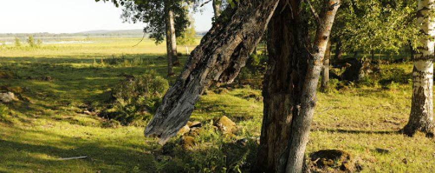 Starbotornet Flinesjön