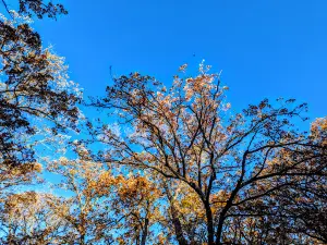 Lakeview Campground