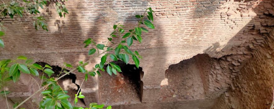 Ahilyabai Holkar baodi well
