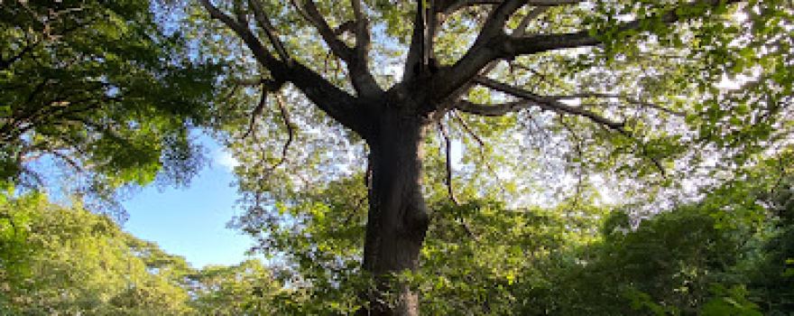 La Mákina Natural Reserve