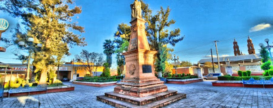 JARDIN DE LA MADRE