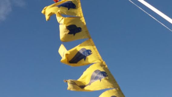 Troppo Fishing Adventures