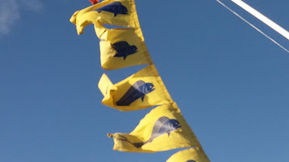 Troppo Fishing Adventures
