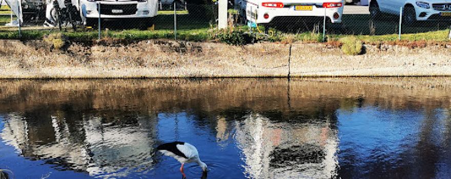 Camping Turckheim (Cor...)