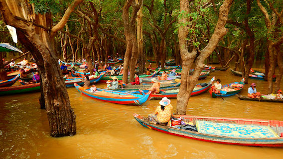 Kampong Phluk Tonle Sap River Mangrove Swamp Boat Tour