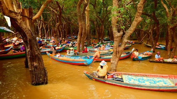 Kampong Phluk Tonle Sap River Mangrove Swamp Boat Tour