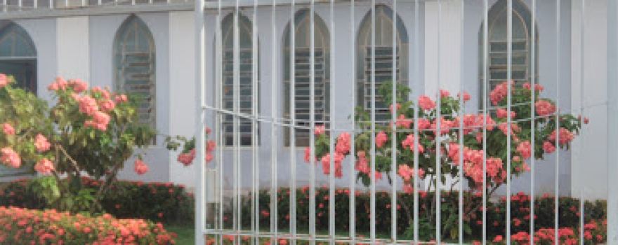 Christian Congregation of Brazil