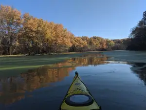 Kyle Marsh (Perry Wildlife Area)