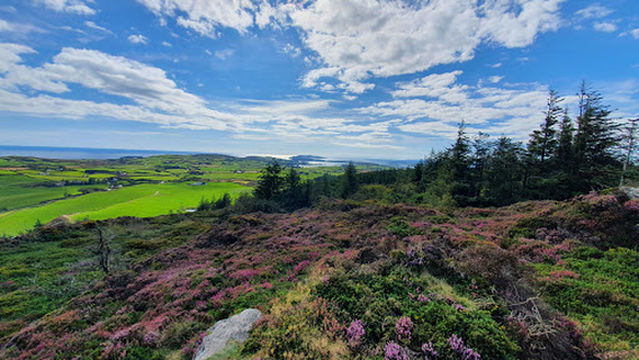 Lough Hyne Forest