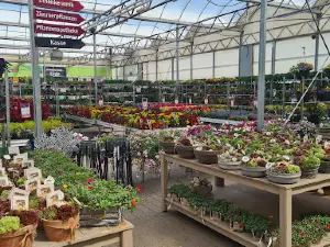 Plants Richter KG