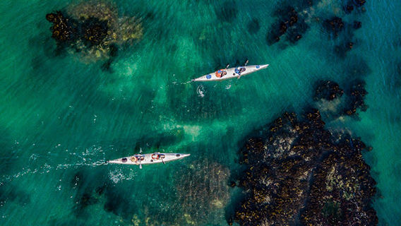 Shelley Point Kayaking