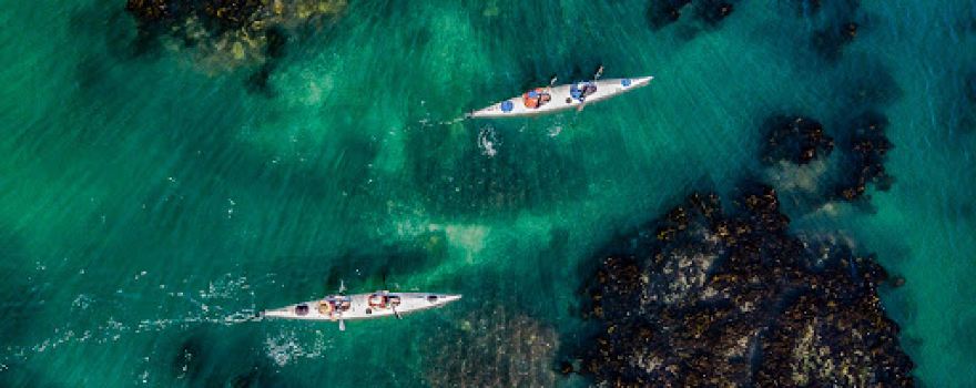 Shelley Point Kayaking