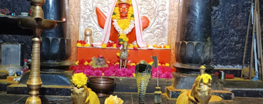 Washi Birdev Sacred Grove