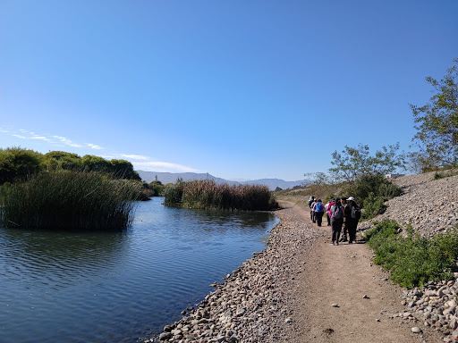 Humedal Río Elqui