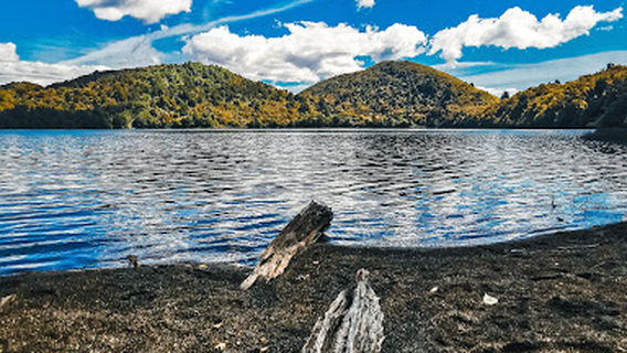 Lake Rotopounamu track