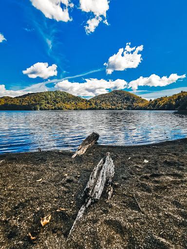 Lake Rotopounamu Track