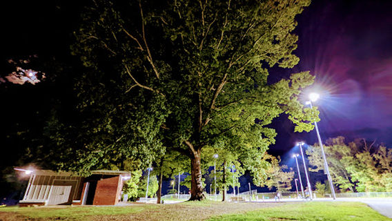 Charlottesville Skate Park