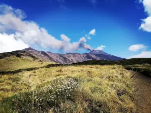 Parco dell'Etna