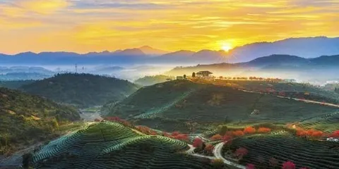 大陸阿里山景區