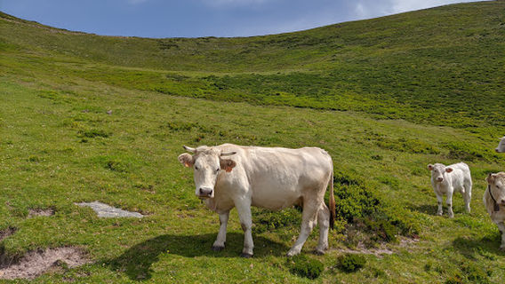 Sierra de Peña Sagra