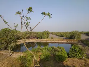 SUDHANYAKHALI WATCH TOWER