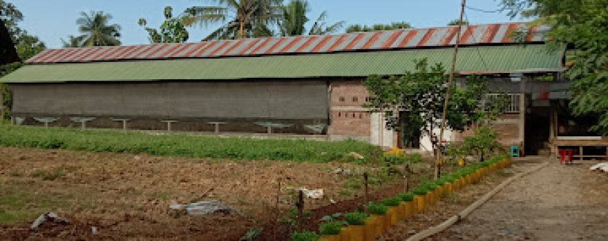 Kampoeng Puyuh Katangka