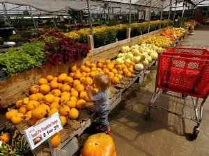 DixieMaze Farms