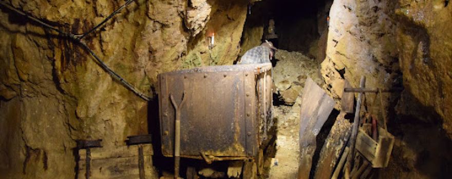 Gold Mine Tours Inc .