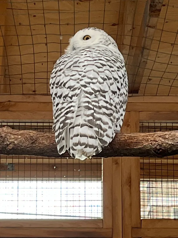 5_Canadian Museum of Nature