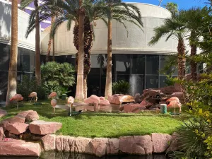Flamingo Wildlife Habitat