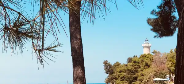 Ξενοδοχεία στην πόλη Basanija