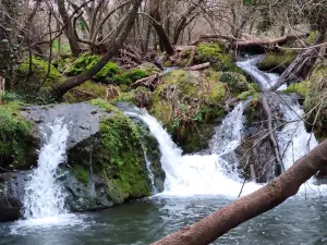 Huéznar Cascades