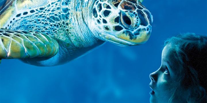 Sea Life Scheveningen