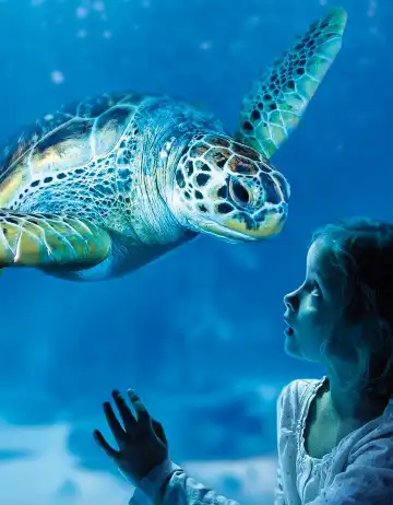 Hotels near Sea Life Scheveningen