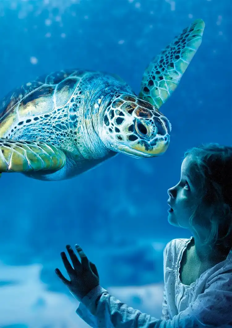 Hotels near Sea Life Scheveningen