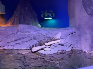 SeaQuest Littleton