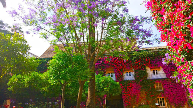 Palace of the Duenas