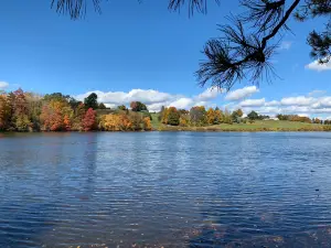 Green Hill Park