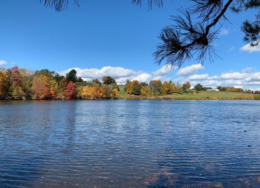 Worcester