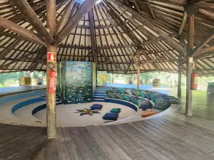 Natural Aquarium