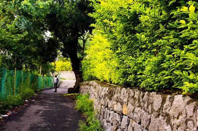Kiliyur Falls