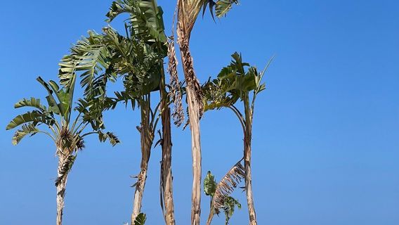 Lido Azzurro Beach Resort