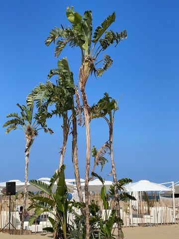Lido Azzurro Beach Resort