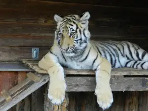 FAUNAPARK ZOO
